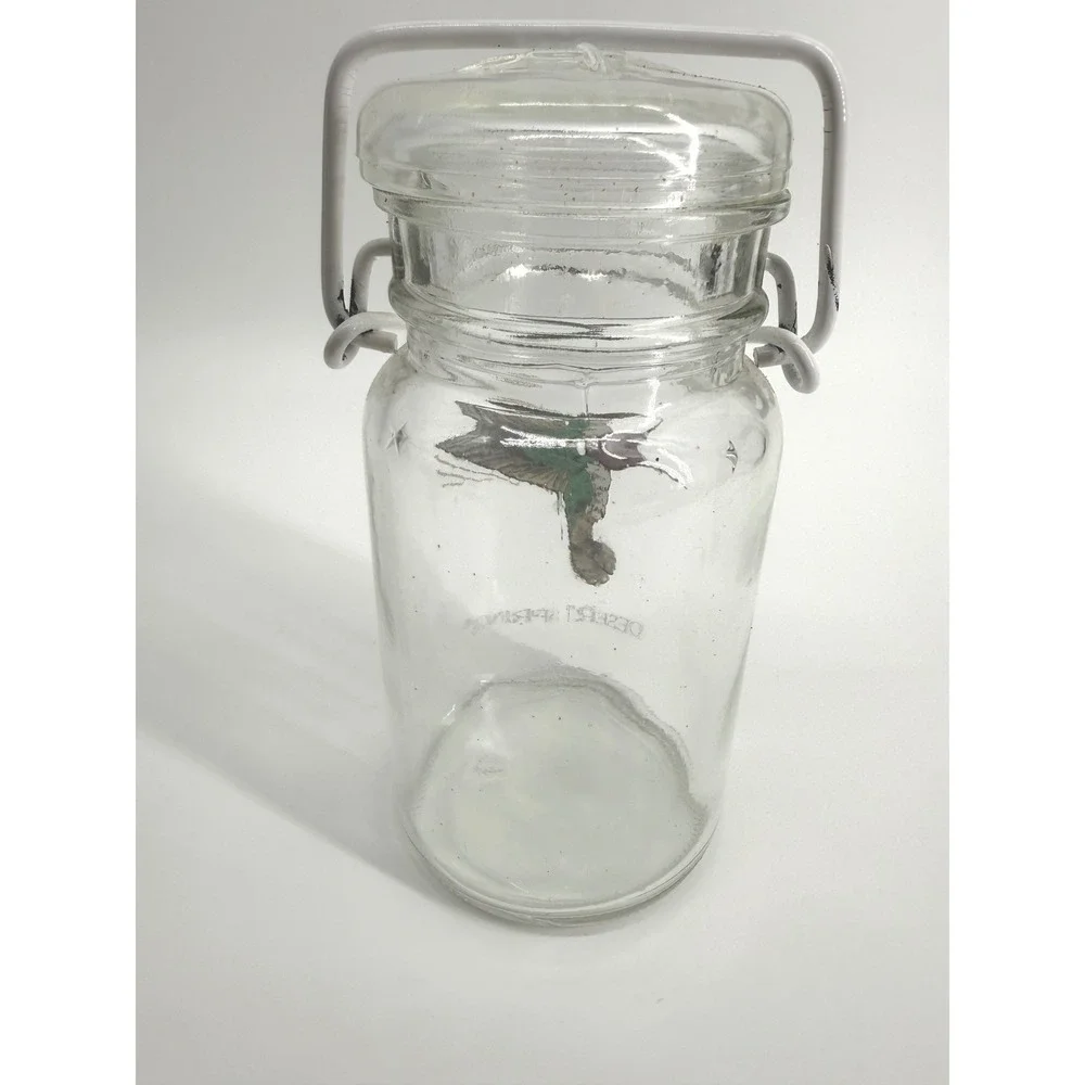 Desert Springs Hummingbird Glass Jar 6.5in Clear Wire Bale Lid Country Decor‎